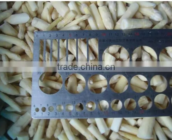 IQF Asparagus White and Green Tips and Cuts photo-5
