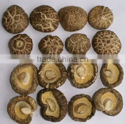 Dried Shiitake Mushroom