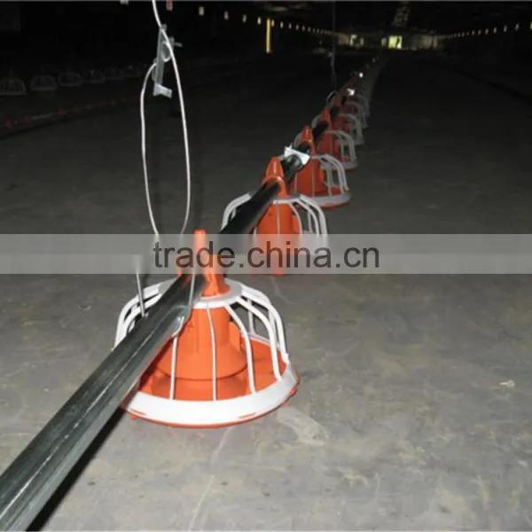 Poultry Feed Manufacturing Equipment for Broilers photo-4