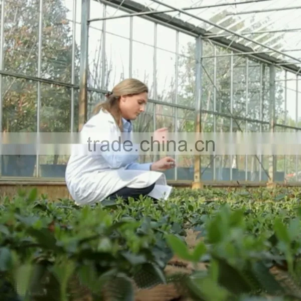 40% Plant Source Amino Acid Powder Fertilizer for Reasonable Price photo-4