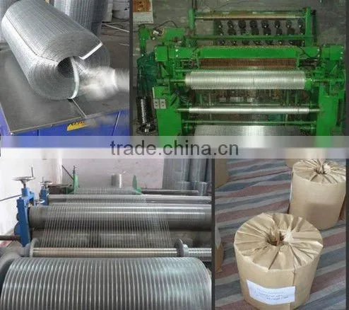 Galvanized Welded Wire Mesh Fence Panel photo-6