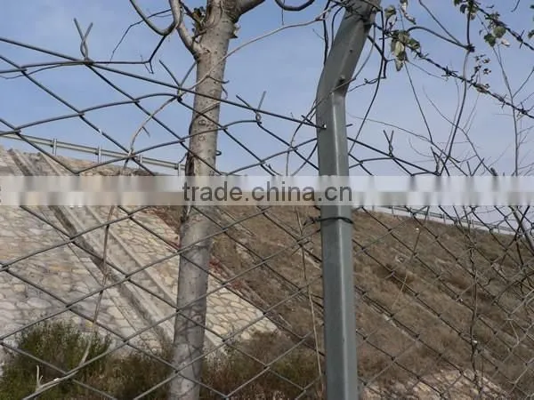 China Chain Link Wire Mesh Fencing , PVC Coated Chain Link Fences ,Plastic Chain Link Fence ( ISO9001 Certificated ) photo-6