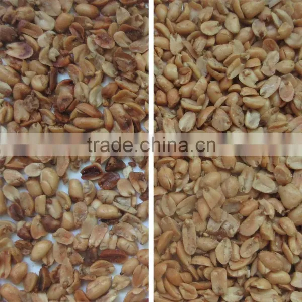 Grain,Wheat,Rice,Seeds,Dehydrated Vegetable,Recycle Plastic Color Sorter photo-6
