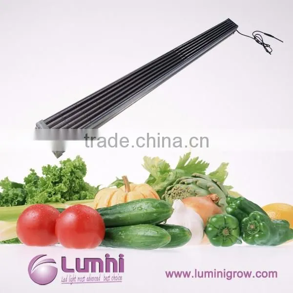 Wholesale Integrated Cob Led Grow Light 100w