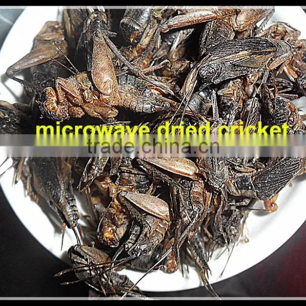 Dried Crickets Bird & Fish Pet Food photo-5