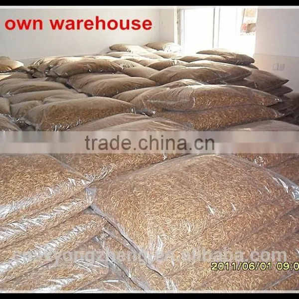 Factory Wholesale Microwave Fish Food 2.8 cm Dried Mealworms; Dried Tenebiro Molitors photo-2