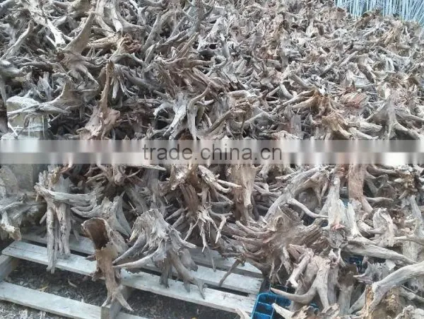 Hallow Natural Driftwood Root Landscape Design for Reptile photo-2