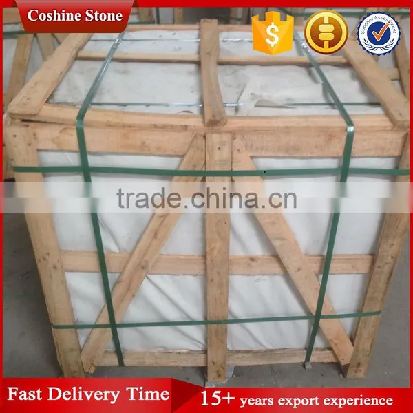 Lower Price Sidewalk Paver Stones for Patio photo-5