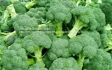 Broccoli