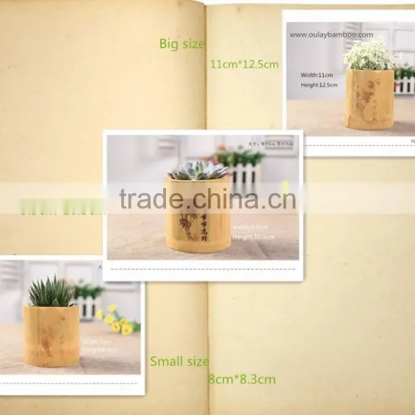 Tonkin Bamboo Poles Material Vases for Planting photo-5