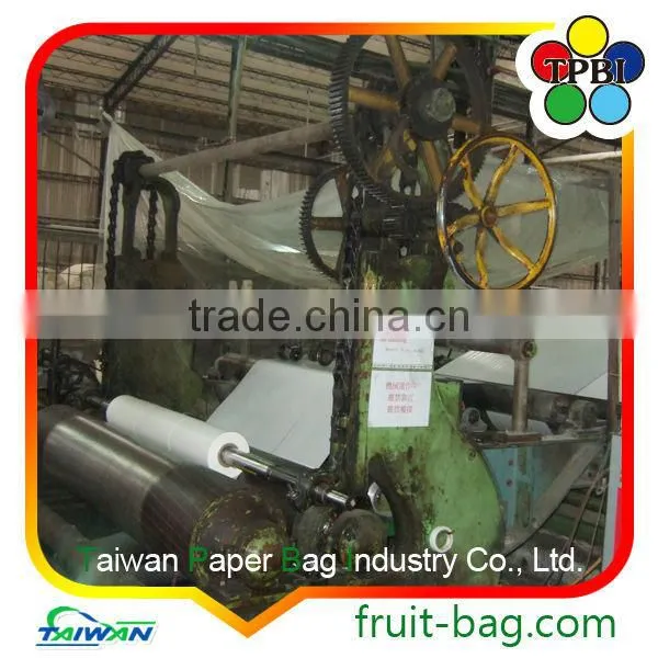 Brown Kraft Paper Bag Pineapple Protection Paper Bag Brown Pineapple Growing Paper Bag photo-6