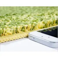 Leaf Home Carpet, Door Mat, Bathroom Pad photo-2