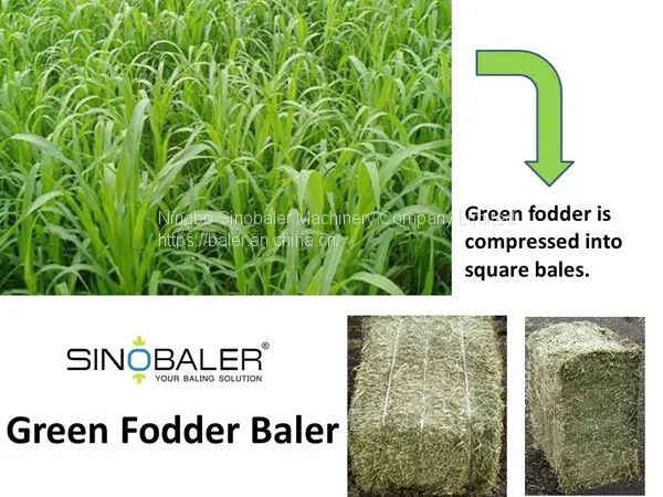 Green Fodder Baler, Green Fodder Compactor