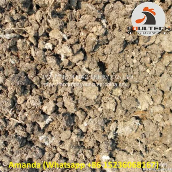 Chicken Manure Drying Machine for Poultry Farming photo-4