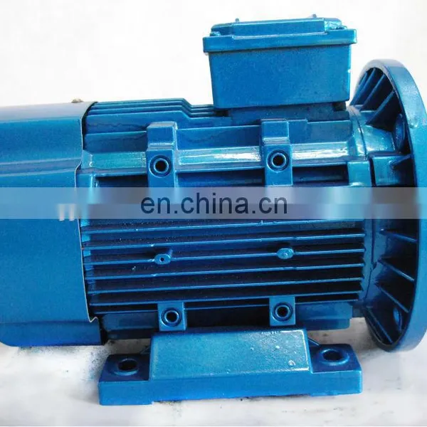 THREE PHASE ELECTRIC MOTOR photo-5