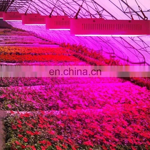 300W 600W 800W 1000W 1200W 1500W 1800W 2000W Full Spectrum Double Chip Led Indoor Plants Grow Light photo-7