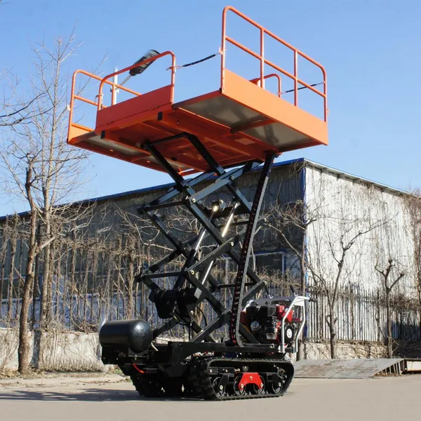 Mini Crawler Self Propelled Type Garden Work Platform photo-3