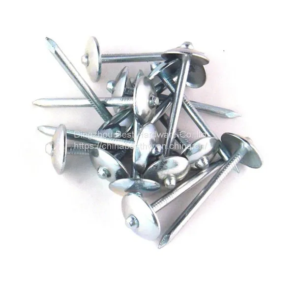 Roofing Nails