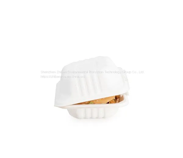 Environmentally Friendly Disposable Plates