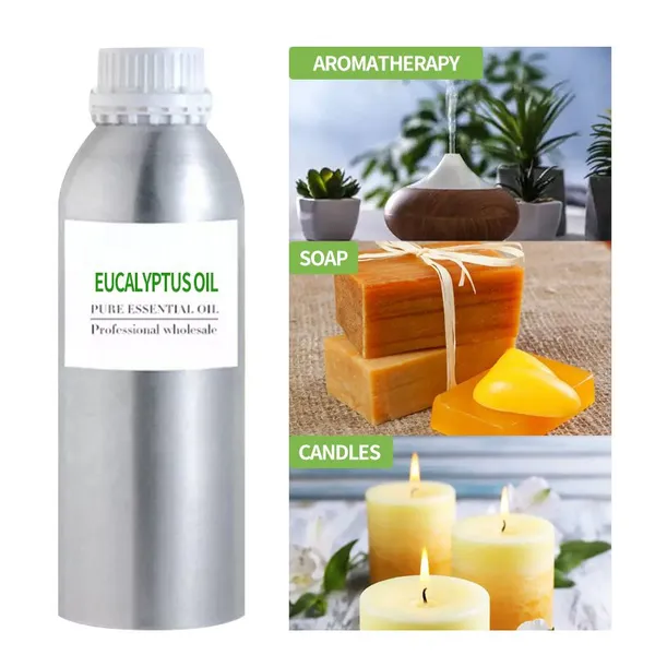 Wholesale Bulk Price 100% Pure EUCALYPTUS Essential Oil (new) Relax Aromatherapy Eucalyptus Globulus photo-2