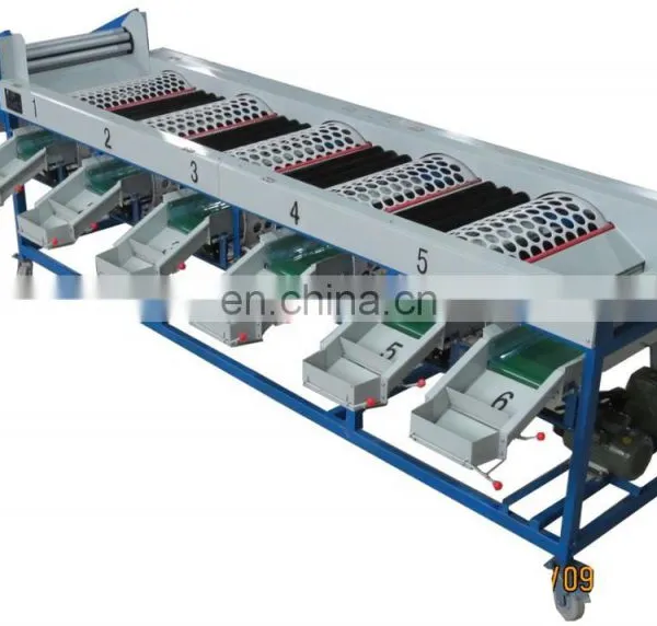 Orang Sorter Machine/ Mandarin Orange Sorting Machine/ Apple Grading Machine photo-4