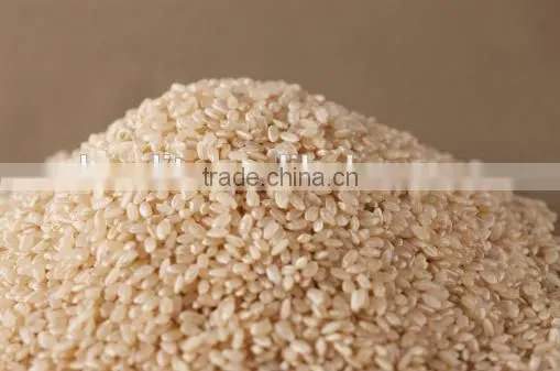 Instant Rice Porridge Making Machine photo-3