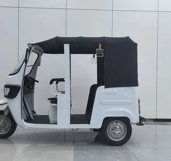 2025 New Model Electric Rickshaw Price Electric Rickshaw Tricycle for Nepal photo-2