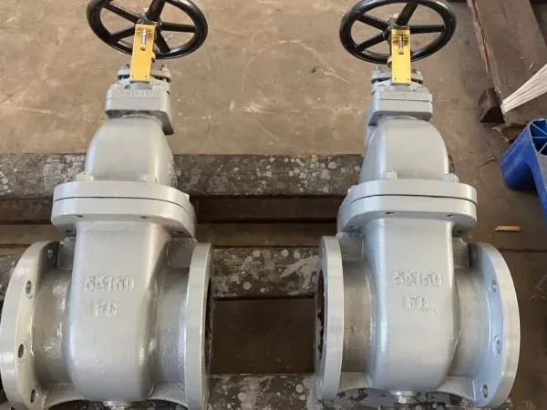 Marine Valves JIS F7363 Cast Iron Gate Valve 10K DN80 5K DN150 Flange Bronze Gate Valve Factory Price photo-6