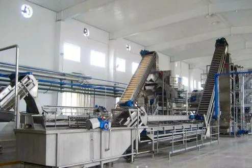 Factory Genyond Complete Prickly Pear Fruit Juice Paste Production Line / Prickly Pear Jam Processing Plant Making Machine photo-6
