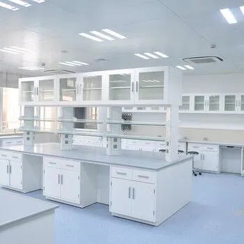 Laboratory Storage Cabinet