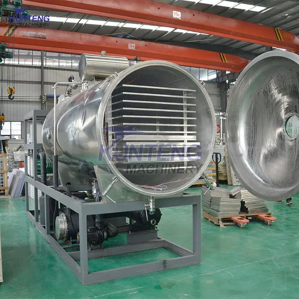 Low Temperature Strawberry Apple Durian Beef Whey Powder Milk Freeze Dryer EPC photo-3