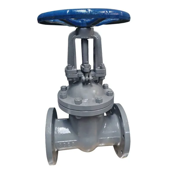 Manufacturer Direct Sales Cast Steel Flange Gate Valve Manual Flange Gate Valve photo-2