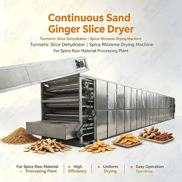 Continuous Sand Ginger Slice Dryer Turmeric Slice Dehydrator Spice Rhizome Drying Machine for Spice Processing Plant EPC