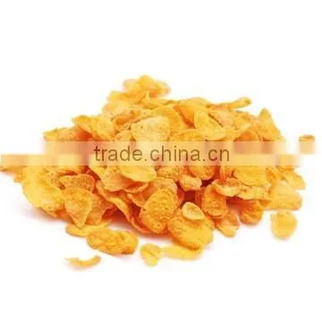 High Quality With CE Certificate Kelloggs Corn Flakes Machine Factory Price photo-5