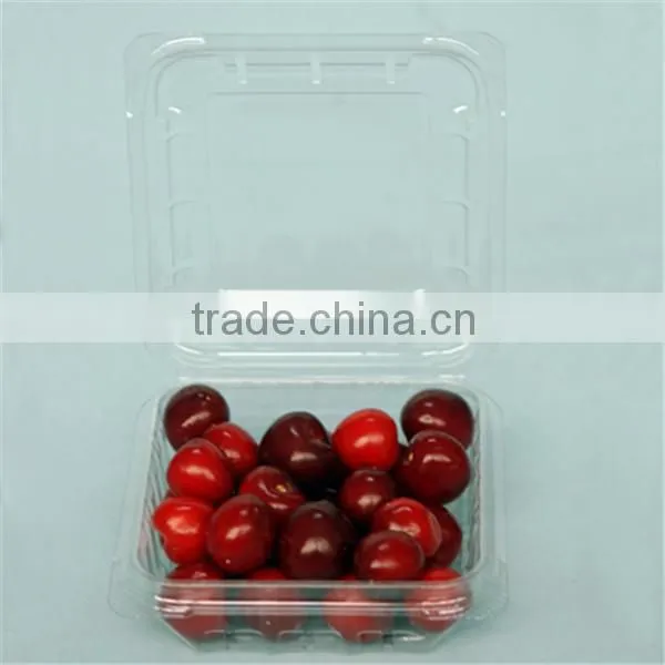 Small Clear Plastic Waxberry Packaging Box photo-3
