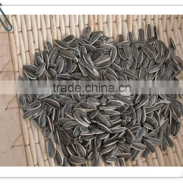 Inner Mongolia Sunflower Seeds 5009