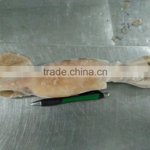 Illex Squid W/R photo-6