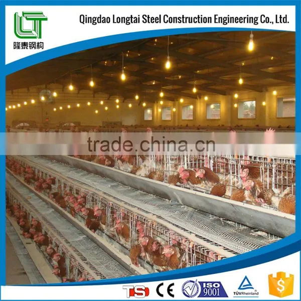 EPS Sandwich Panel Fire Proof Steel Structure Design Poultry Farm Shed photo-2