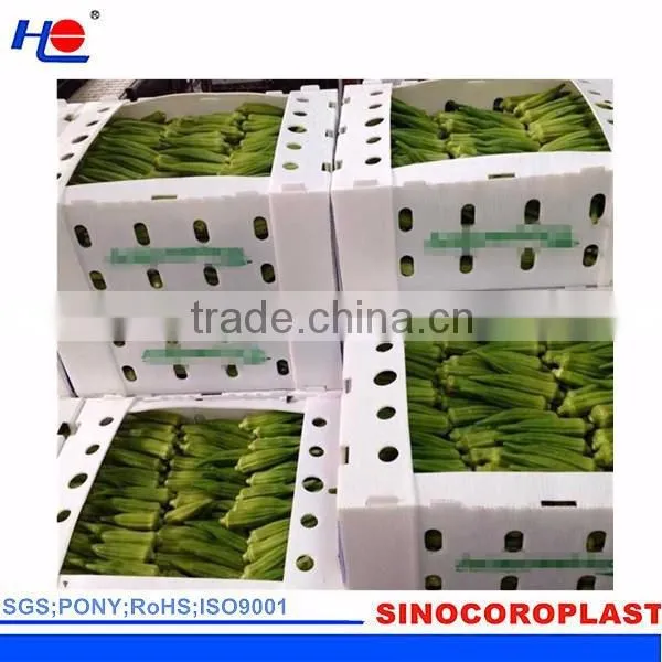 Plastic Fruit Packaging Box photo-6