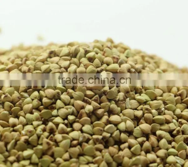 Chinese Buckwheat Kernel ,husks photo-3
