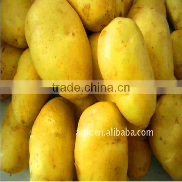 Potato Wholesale Price