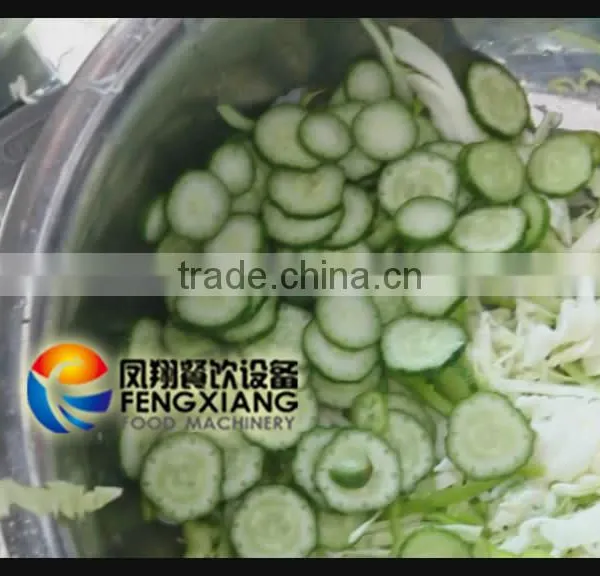 Commercial Carrot/Potato/Bamboo Shoot Slicing Machine photo-6