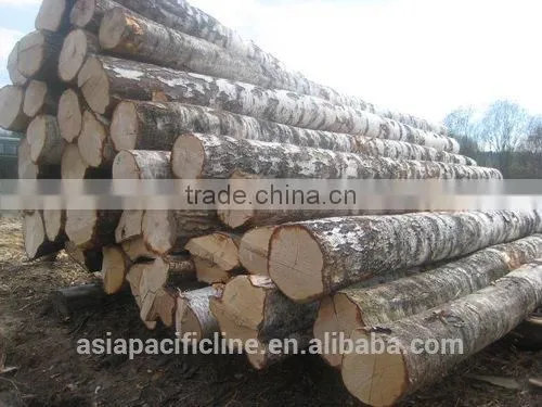 PINE/ SPRUCE/ BIRCH / HARDWOOD / LARCH WOOD LOGS TIMBER RUSSIAN ORIGIN WHOLESALE photo-3