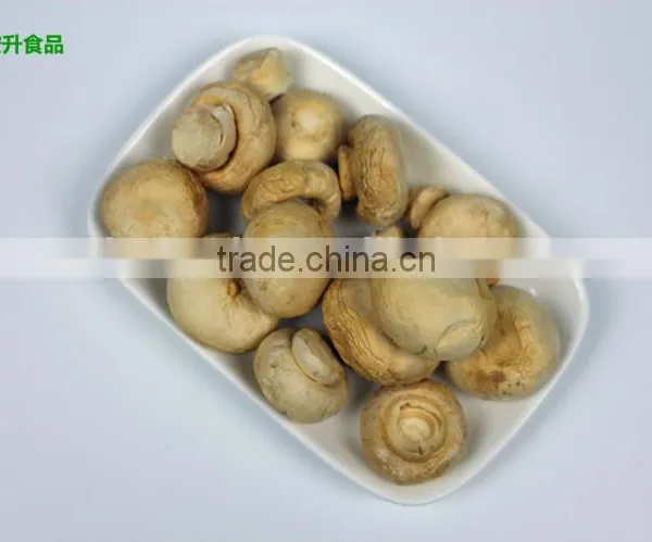 Fresh Air Dried Mushroom Flower photo-2