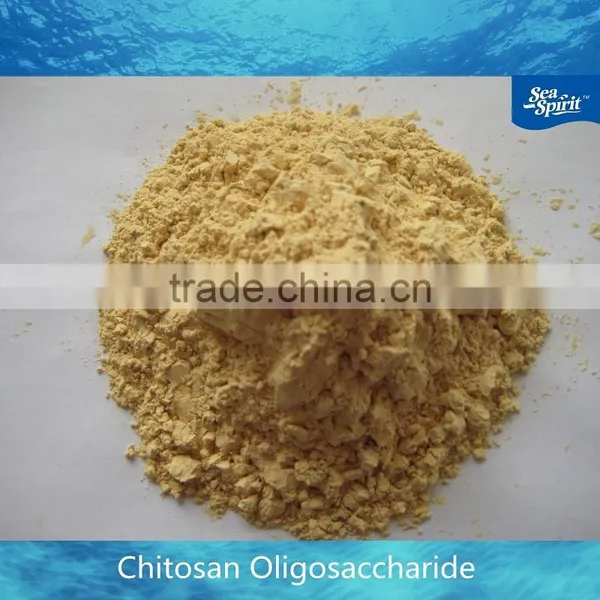 Bulk Chitosan Powder photo-2