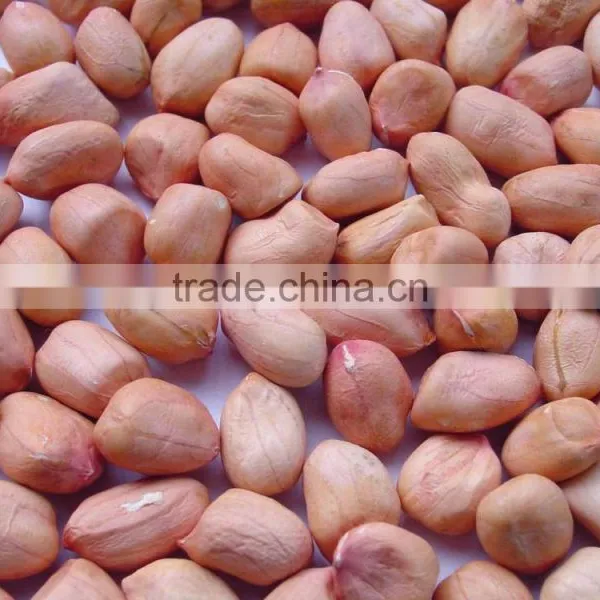 High Quality Red Skin Peanut photo-2