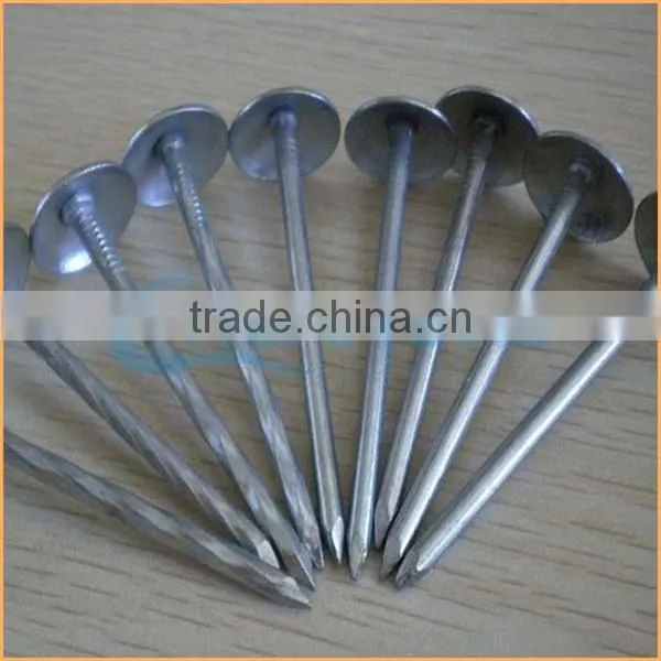 Top Quality Metal Iron Nail Type Roofing Nail With Umbrella Trusted Chuanghe Suppliers From Com photo-2