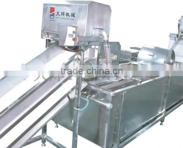 TW-307L Hot Sale Vegetable Washing Machine/ Fruit Washer/Vegetable Cleaning Machine photo-3
