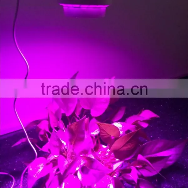 New Arrival 60w Cob Led Par Light With Inside Fan photo-5