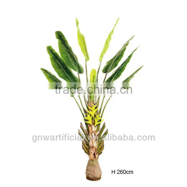 Bonsai Plant Ficus Tree Indoor GNW G41 photo-4